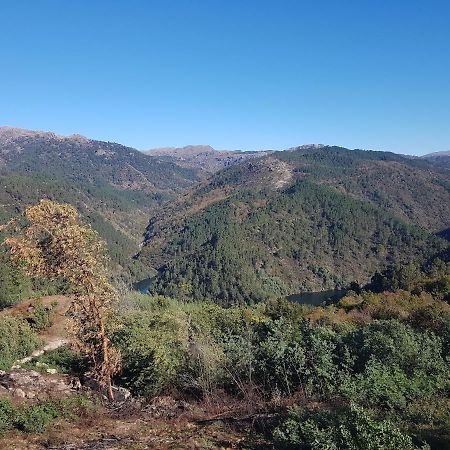 Quinta Da Resteva-Chale Do Rio Vieira do Minho Kültér fotó