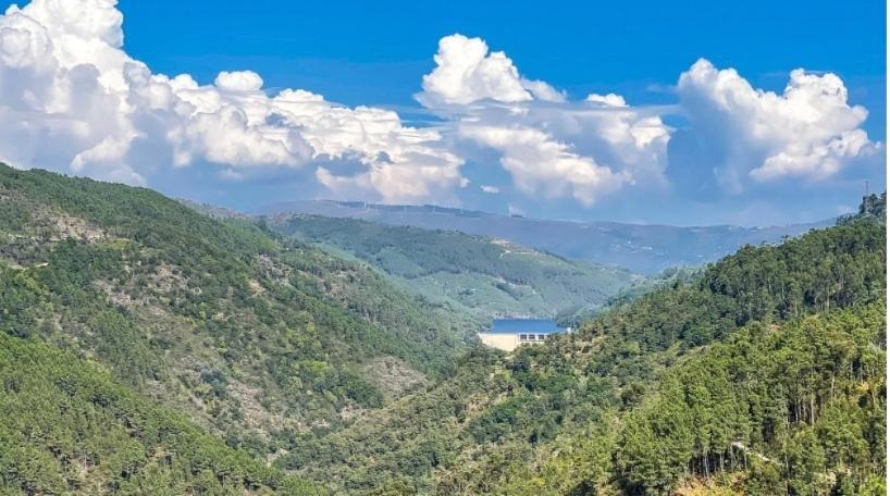 Quinta Da Resteva-Chale Do Rio Vieira do Minho Kültér fotó