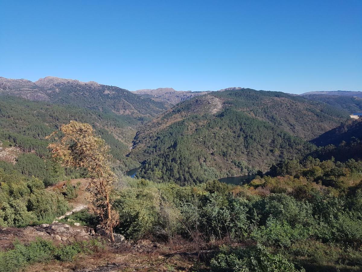 Quinta Da Resteva-Chale Do Rio Vieira do Minho Kültér fotó